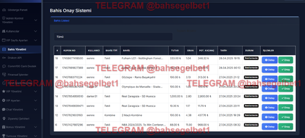 Ekran görüntüsü 2025-04-30 201143.png