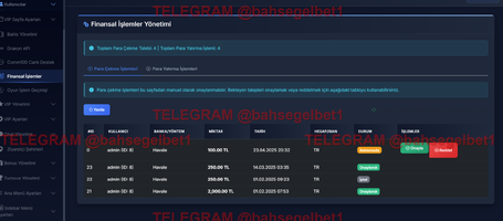 Ekran görüntüsü 2025-04-30 201150.png